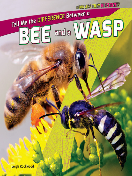 Title details for Tell Me the Difference Between a Bee and a Wasp by Leigh Rockwood - Available
